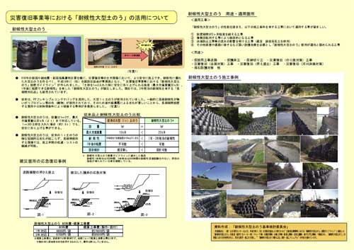 pamphlet1